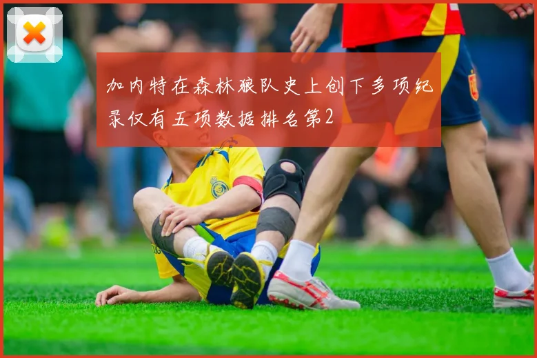 加内特在森林狼队史上创下多项纪录仅有五项数据排名第2