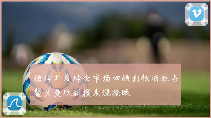德转年度转会市场回顾利物浦独占鳌头曼联新援表现抢眼