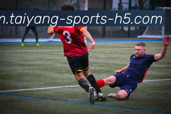 多媒体互动体验